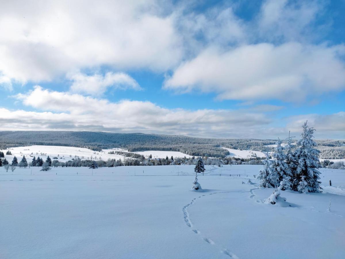 Apartmany U Muzea Horni Blatna Bagian luar foto