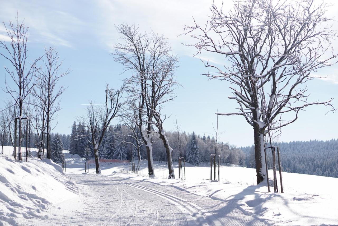 Apartmany U Muzea Horni Blatna Bagian luar foto