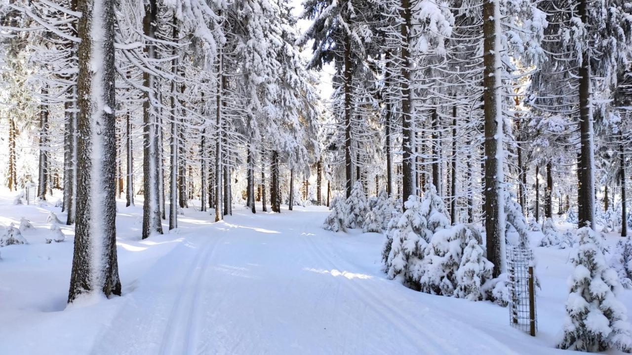 Apartmany U Muzea Horni Blatna Bagian luar foto