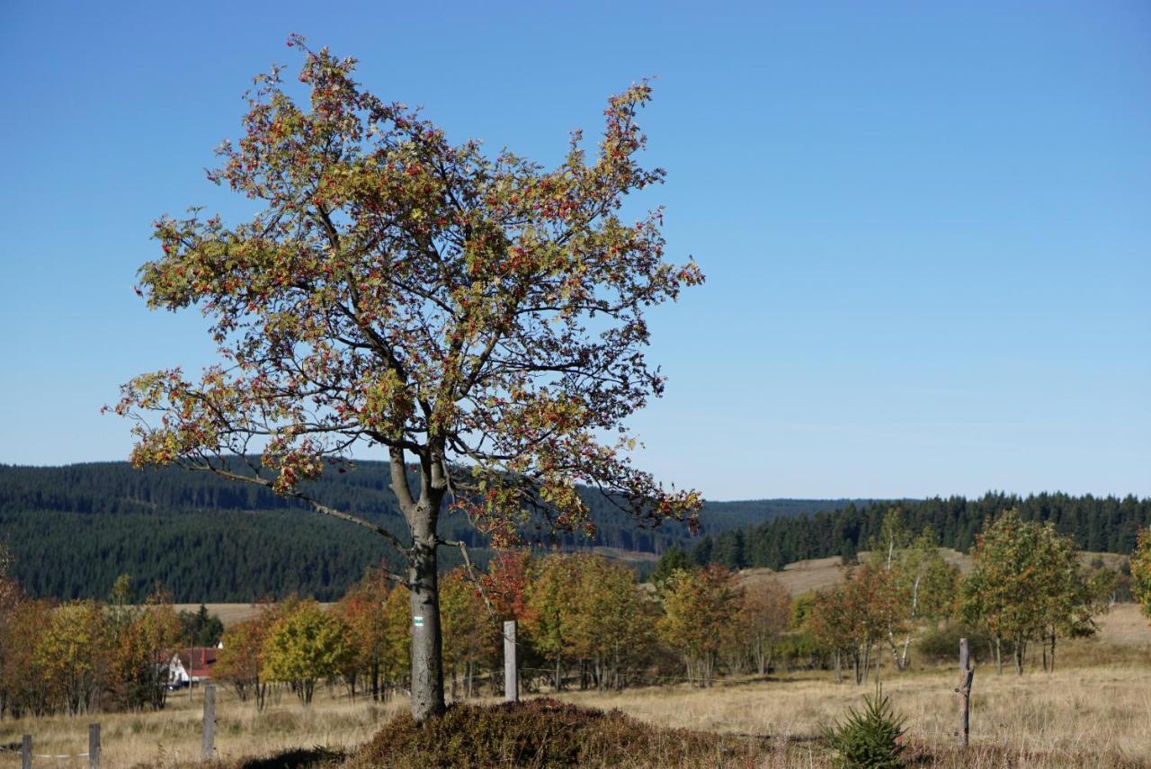 Apartmany U Muzea Horni Blatna Bagian luar foto